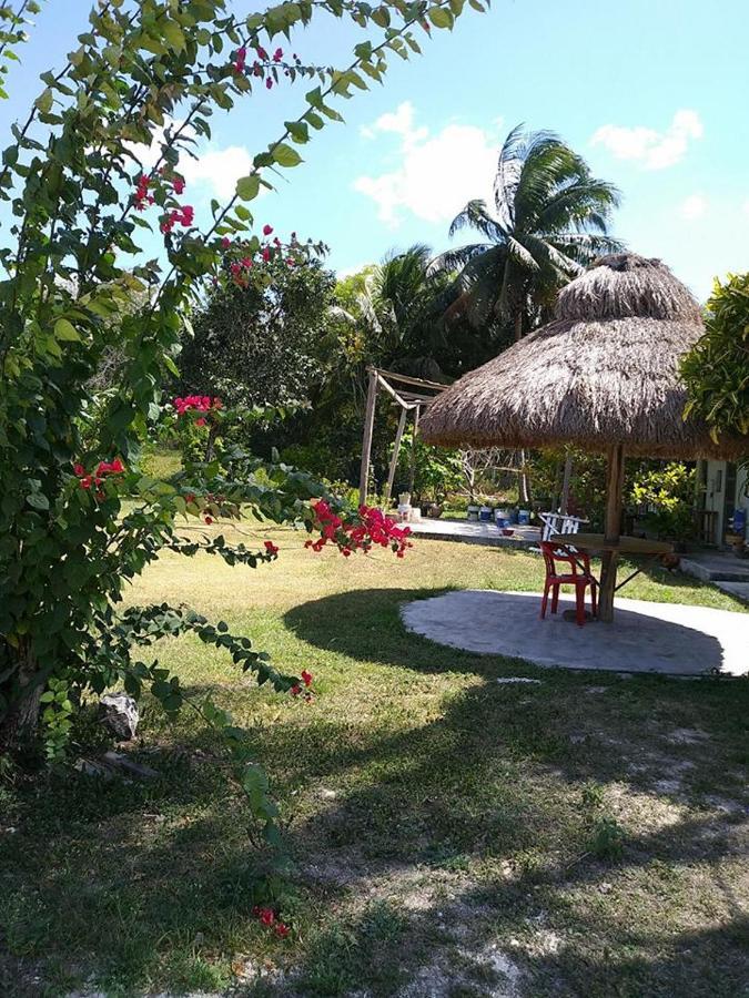 Hotel Templo Maya Xpujil Exterior foto